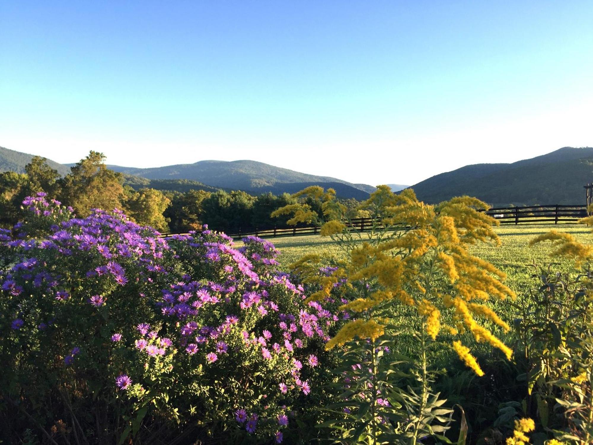 Montfair Resort Farm Crozet Номер фото